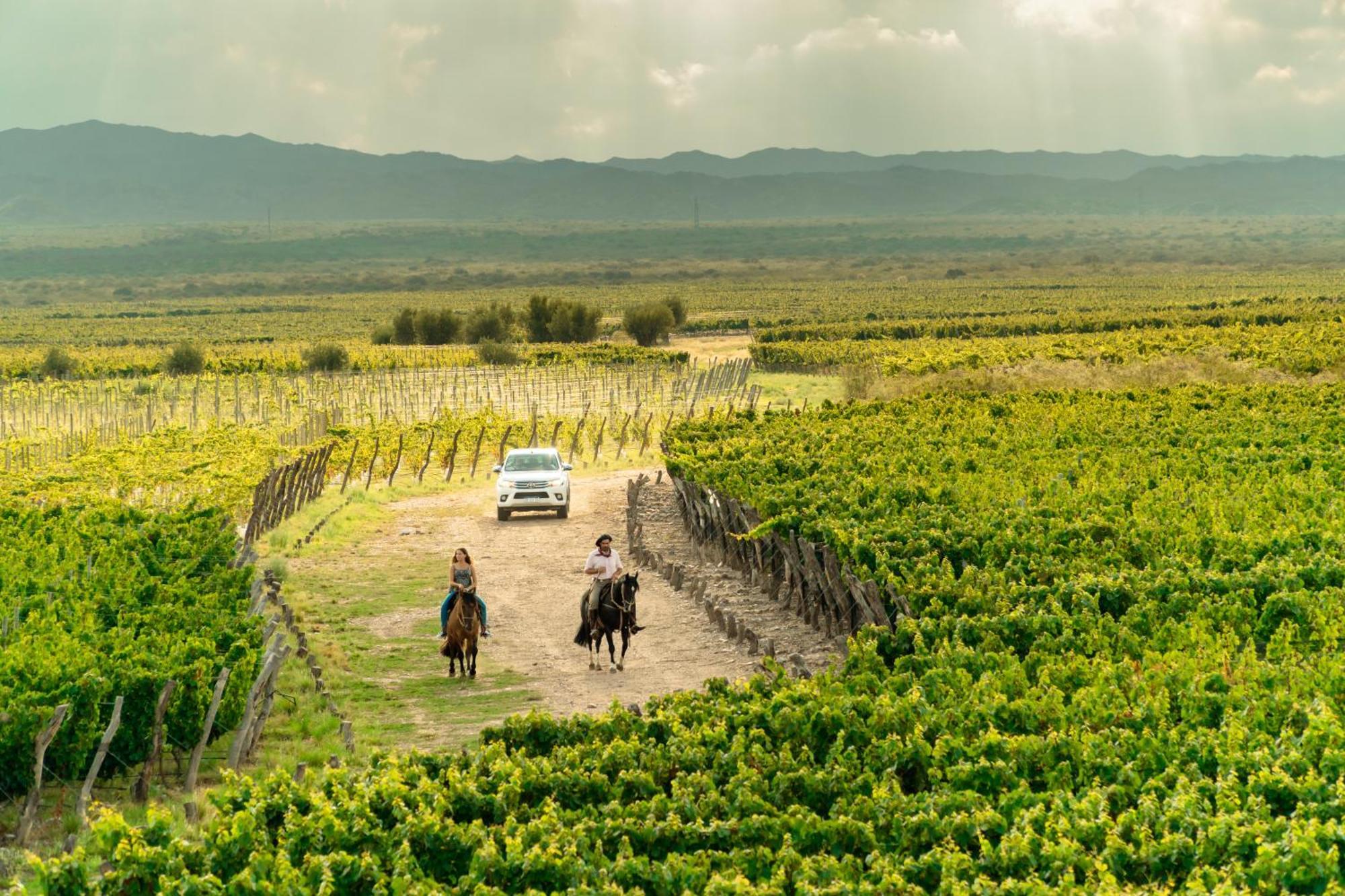 Rosell Boher Winery Lodge & Spa Agrelo المظهر الخارجي الصورة