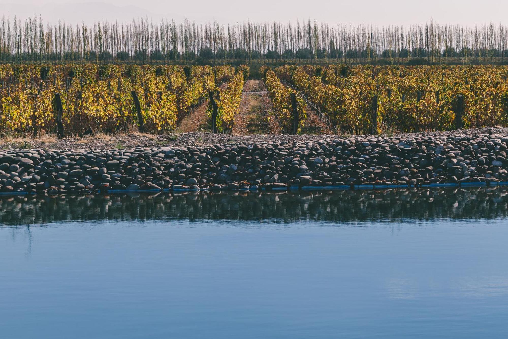 Rosell Boher Winery Lodge & Spa Agrelo المظهر الخارجي الصورة