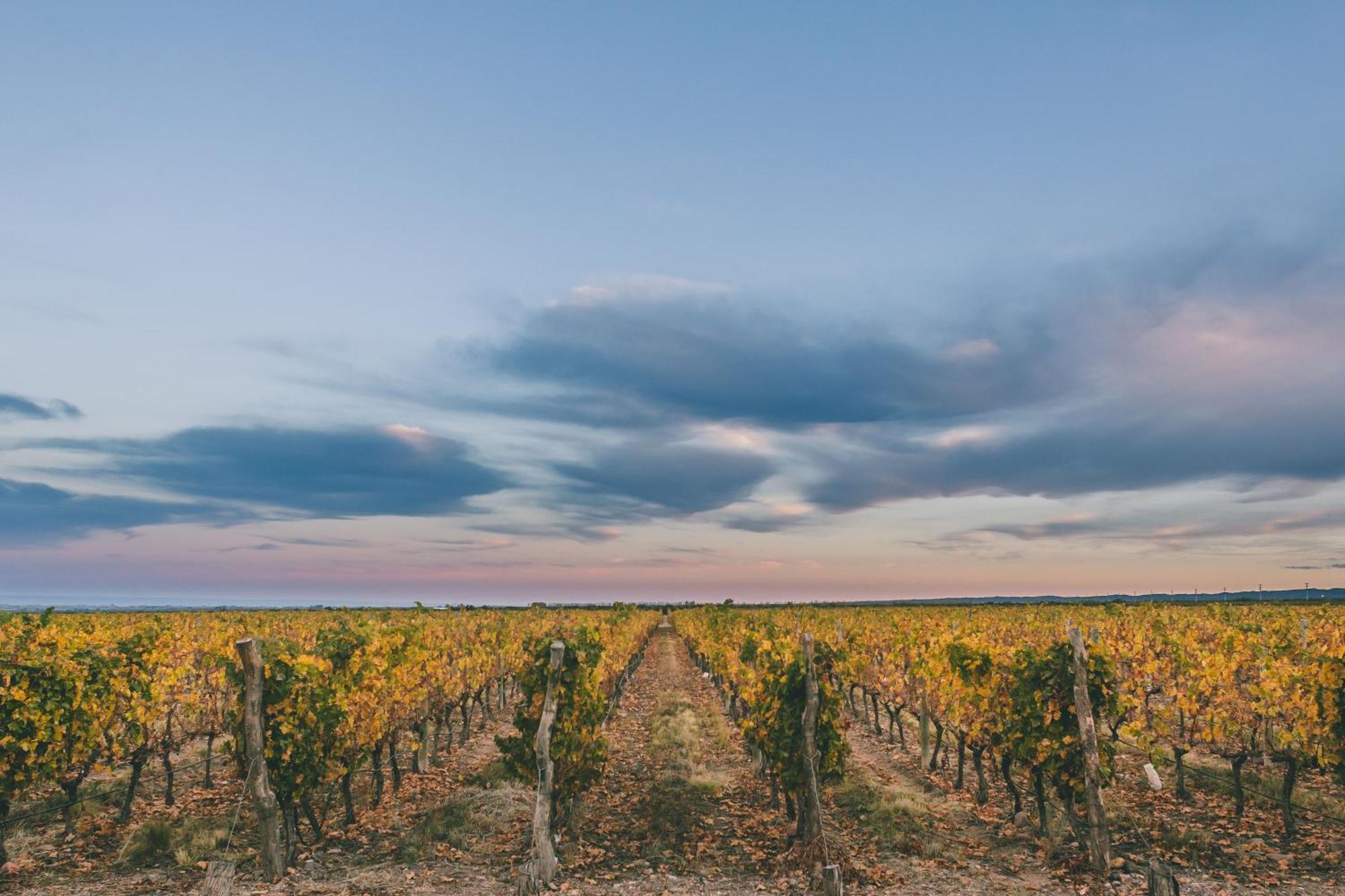Rosell Boher Winery Lodge & Spa Agrelo المظهر الخارجي الصورة
