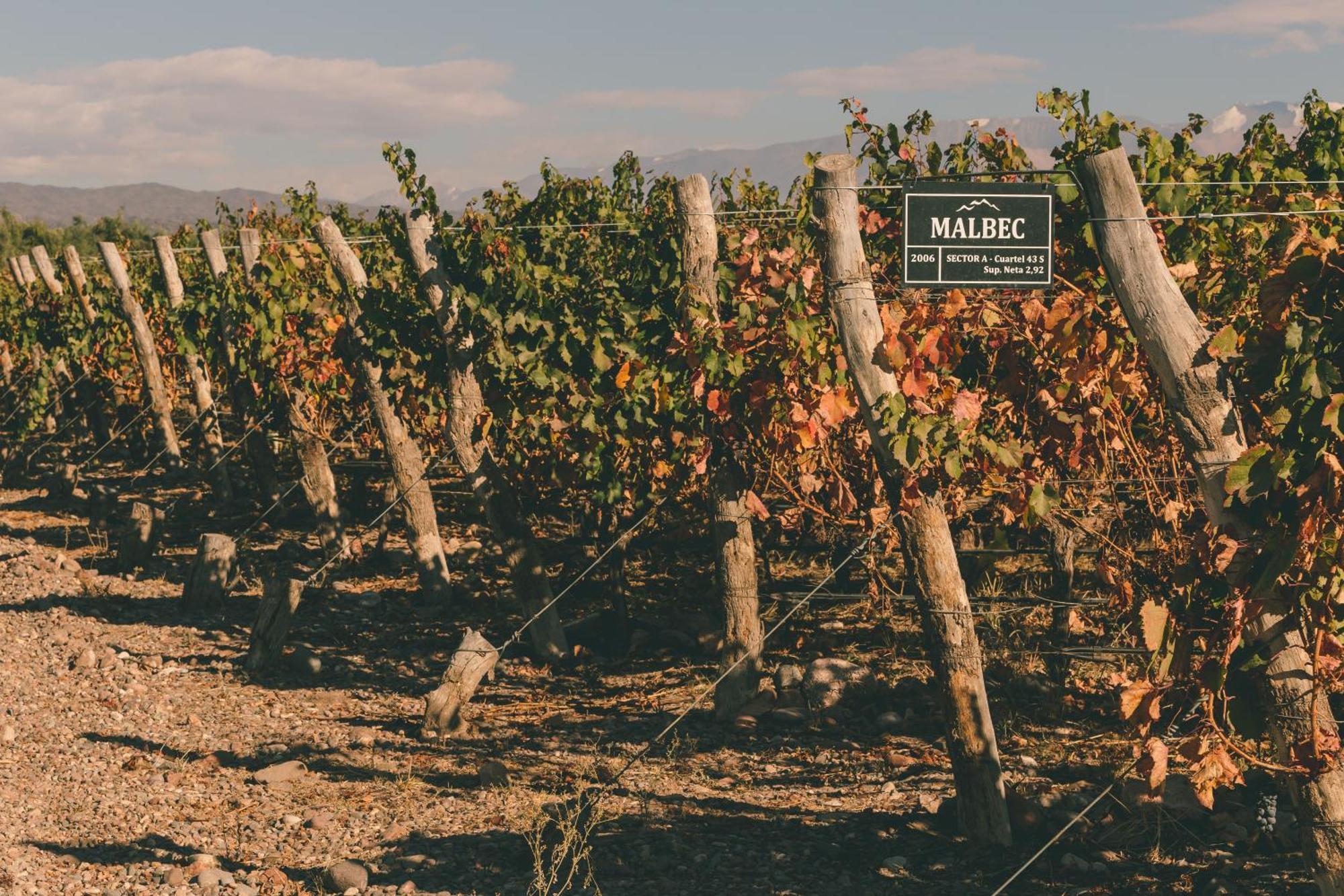 Rosell Boher Winery Lodge & Spa Agrelo المظهر الخارجي الصورة