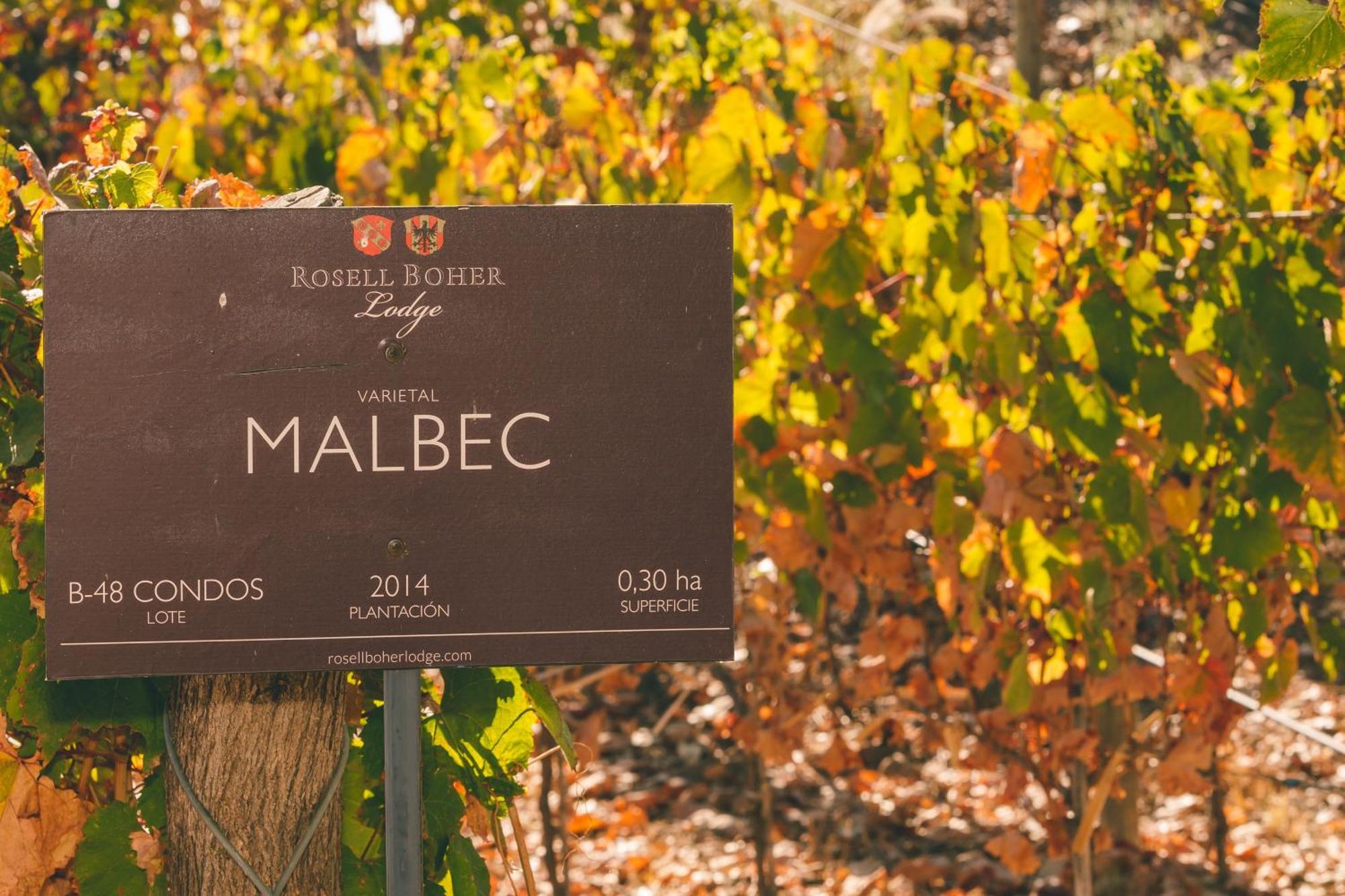 Rosell Boher Winery Lodge & Spa Agrelo المظهر الخارجي الصورة