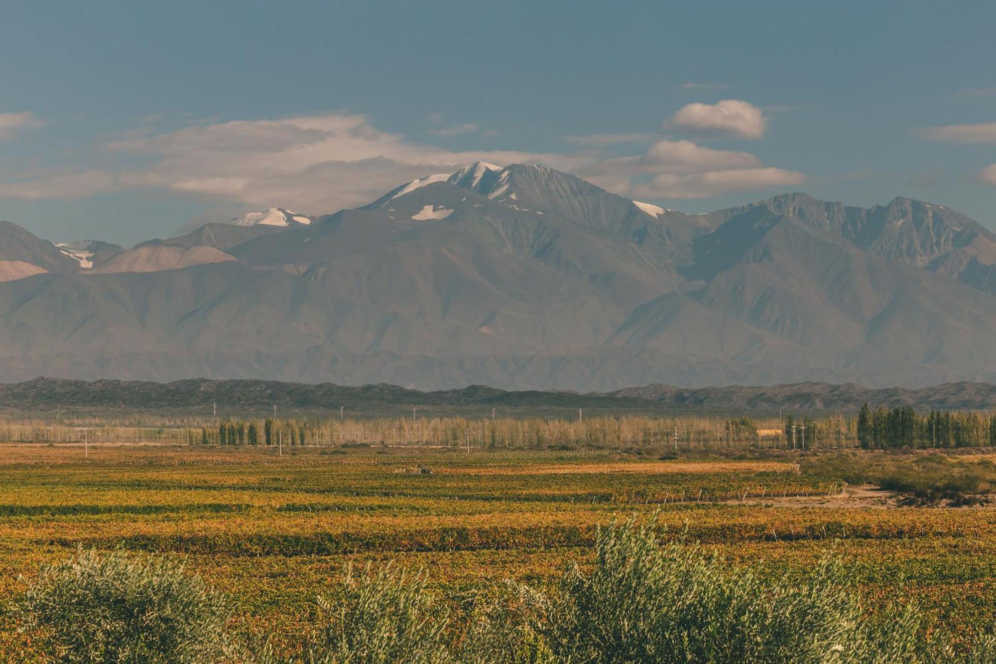 Rosell Boher Winery Lodge & Spa Agrelo المظهر الخارجي الصورة