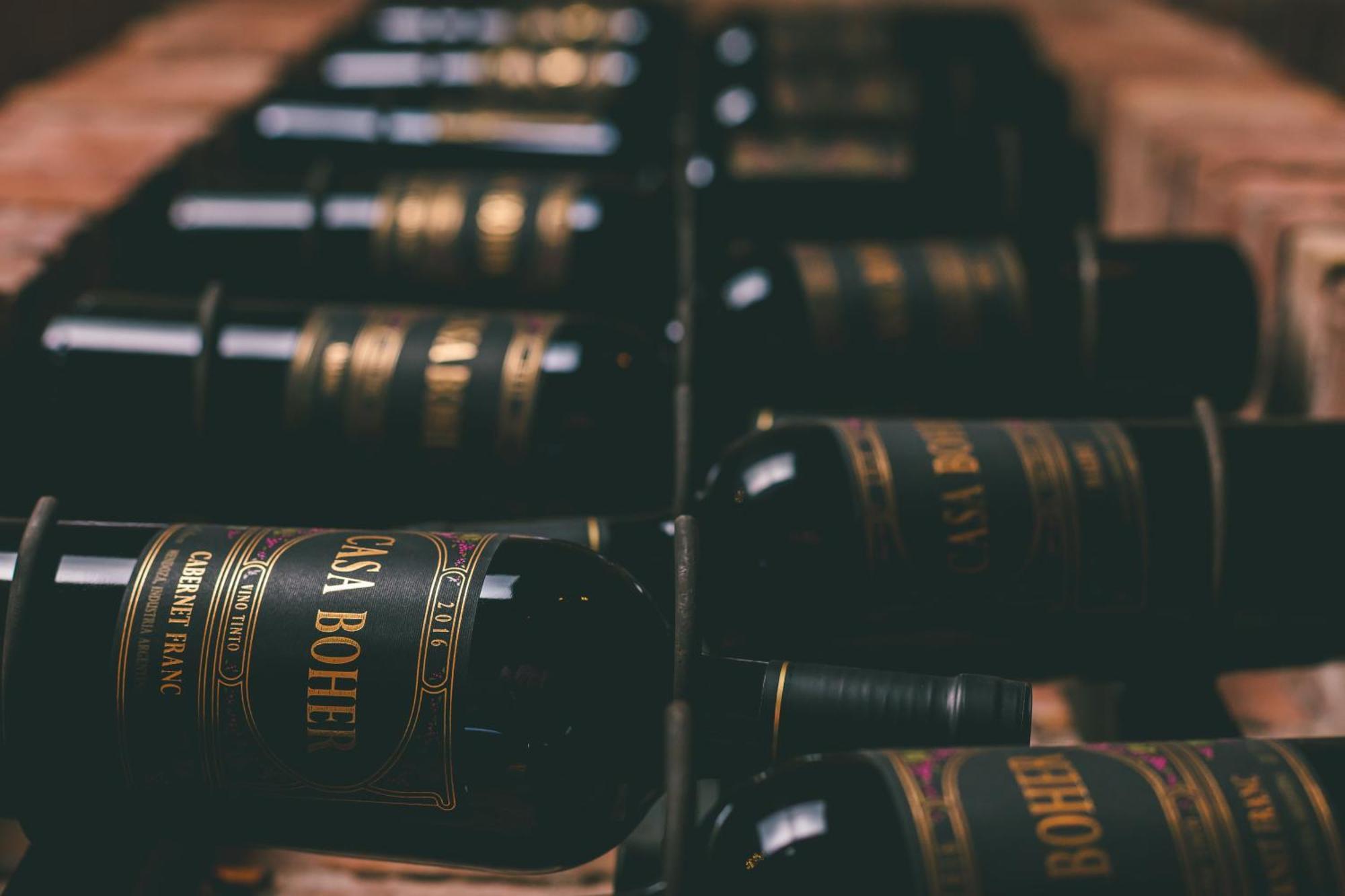 Rosell Boher Winery Lodge & Spa Agrelo المظهر الخارجي الصورة